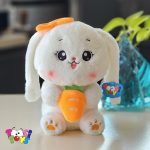 عروسک خرگوش هویج و توت فرنگی