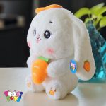 عروسک خرگوش هویج و توت فرنگی