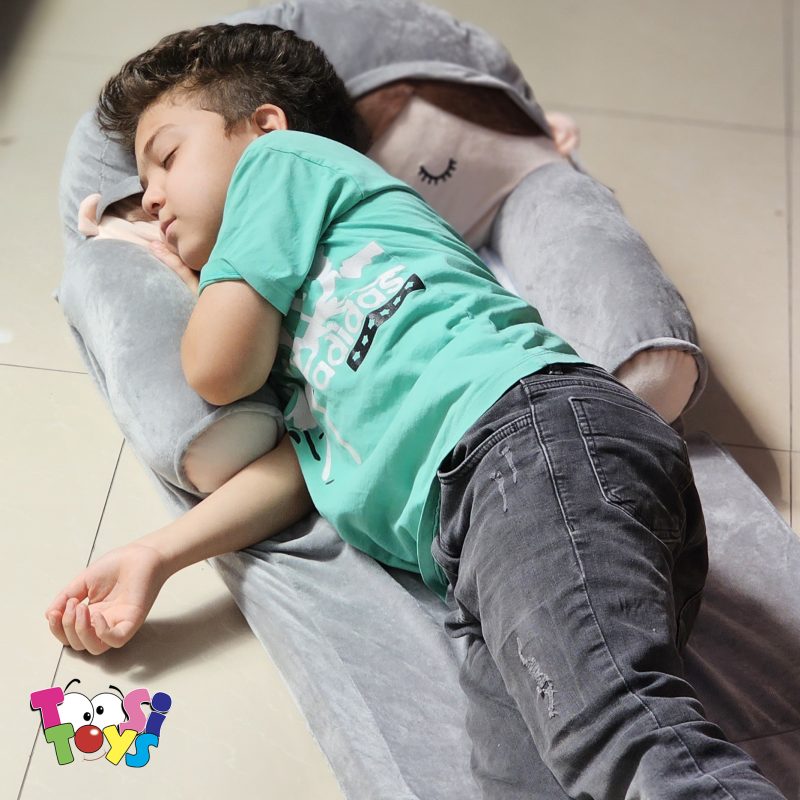 مبل تخت خواب شو