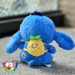 استیج کیف آناناسی