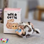 عروسک کرای کیتی