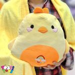 پتو بالشتی حیوانات