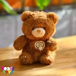 عروسک خرس پنجه دار کیوت