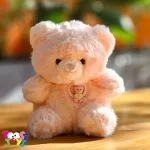 عروسک خرس پنجه دار کیوت