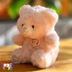 عروسک خرس پنجه دار کیوت