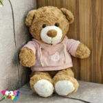 عروسک خرس لباس هودی ایستاده