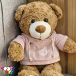 عروسک خرس لباس هودی ایستاده