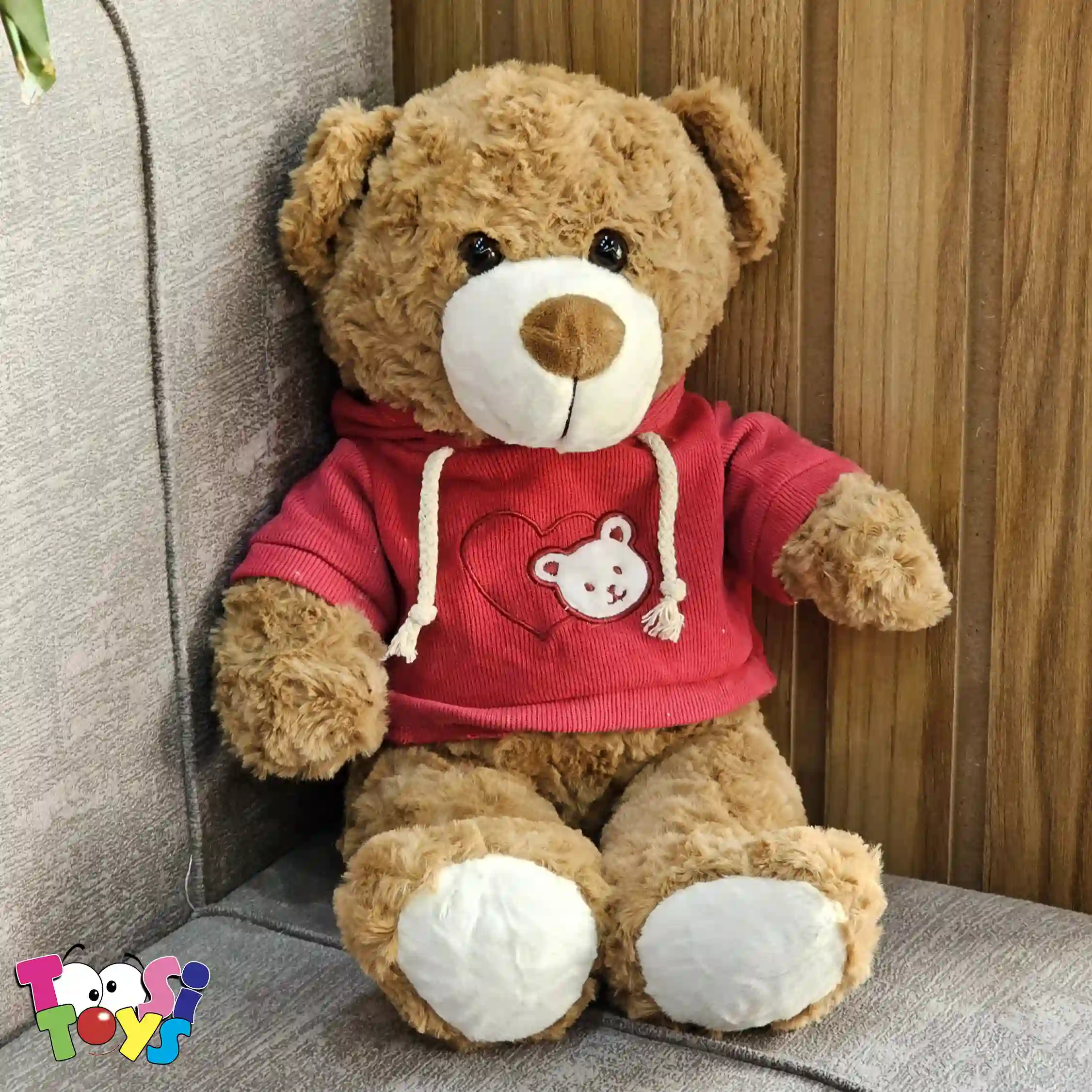 عروسک خرس لباس هودی ایستاده