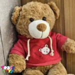 عروسک خرس لباس هودی ایستاده