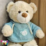 عروسک خرس لباس هودی ایستاده