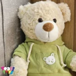 عروسک خرس لباس هودی ایستاده