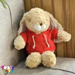 عروسک خرگوش لباس هودی ایستاده