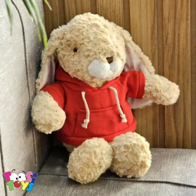 عروسک خرگوش لباس هودی ایستاده