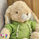 عروسک خرگوش لباس هودی ایستاده