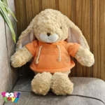 عروسک خرگوش لباس هودی ایستاده