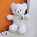 عروسک خرس هودی رابیت