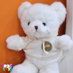 عروسک خرس هودی رابیت