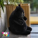 عروسک گربه خپل مشکی اورجینال