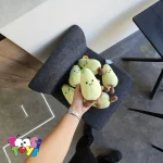 عروسک گلابی مهربون