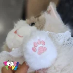 عروسک کیف و کوله گربه اشرافی اورجینال